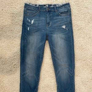 Vervet by Flying Monkey Ankle Skinny Fit